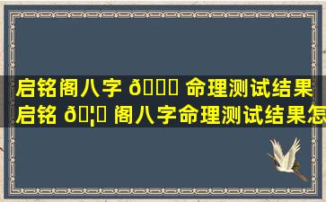 启铭阁八字 🐈 命理测试结果「启铭 🦆 阁八字命理测试结果怎么样」